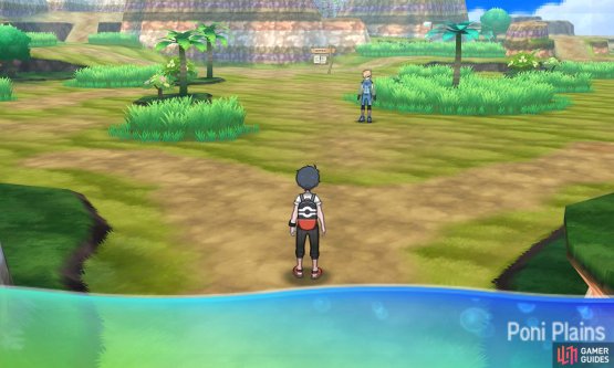 Different Pok&eacute;mon can be found in different parts of the grass.