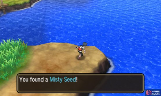 This held item raises Special Defense when Misty Terrain is triggered, which could be useful on Tapu Fini.