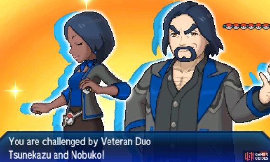 Pok&eacute;mon: Ultra Sun & Moon Screenshot