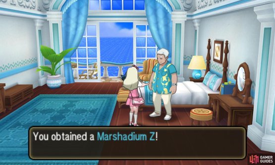 Pok&eacute;mon: Ultra Sun & Moon Screenshot