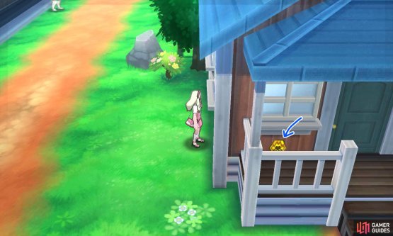 013: Left of the entrance to Guzma&rsquo;s house.