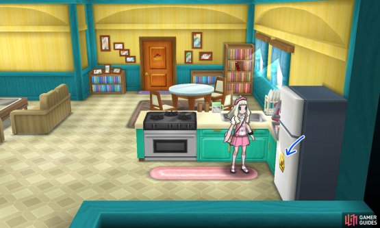 014: The fridge in the bottom right corner of Guzma&rsquo;s house.