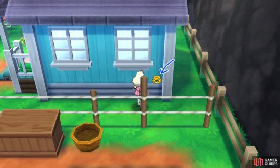 015: Bottom right corner of the house.