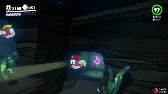 Look for a small alcove once you pass the Cheep-Cheeps for a moon
