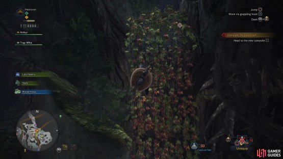 Climb the vines near the Endemic Life Researcher to reach the potential campsite
