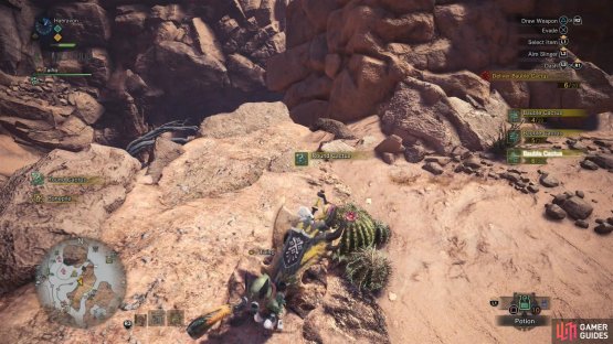 Search Round Cactuses to find the Bauble Cactuses you&rsquo;re after