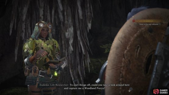 Talk to the Endemic Life Researcher and she&rsquo;ll ask you to catch a Woodland Pteryx