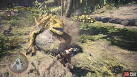 When engorged with its last meal, the Great Jagras will be able to use different, more powerful attacks