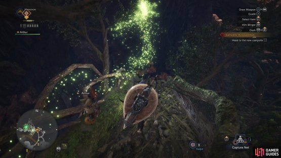 Gather research on Grimalkynes and follow the Scoutfly trail to the boughs of the Ancient Forest
