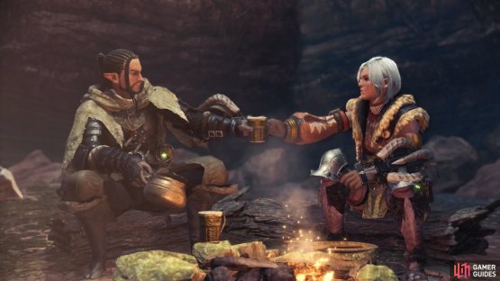 After defeating the Barroth you&rsquo;ll meet a rogue hunter from the First Fleet