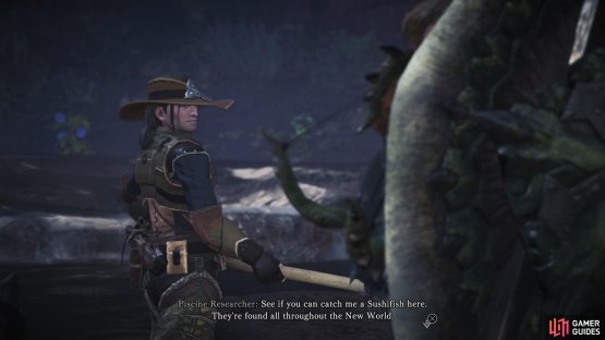Talk to the Piscine Researcher in the Wildspire Waste and he&rsquo;ll challenge you to capture a Sushifish