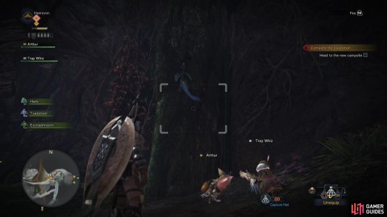 You can find the Woodland Pteryx climb on - and gliding from - trees