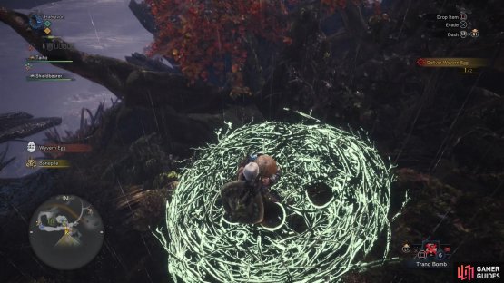 After the Rathian is defeated, it&rsquo;s a trivial manner to grab the eggs from its nest