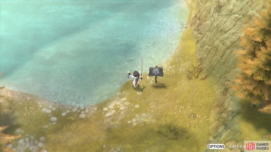 where you will be able to catch some fish