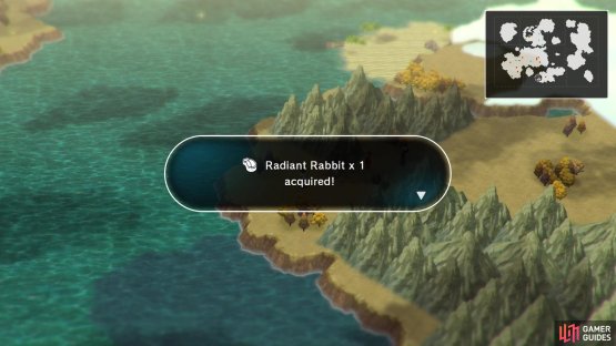Don&rsquo;t forget to leave Ragness Ruins to scope out overworld area, where you can get some ingredients