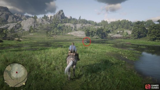 Mason can be found north of Emerald Ranch, by the water