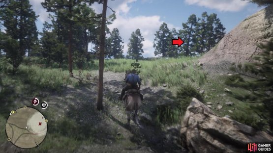 Head up the hill pictured to find him