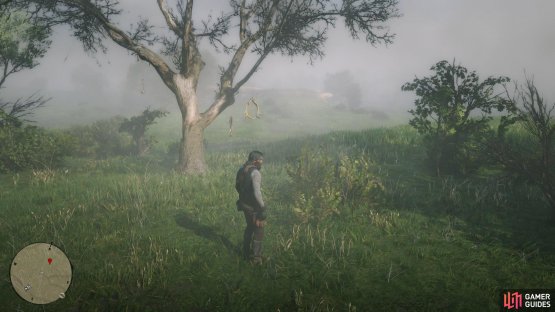 you&rsquo;ll find a lone tree near the water.