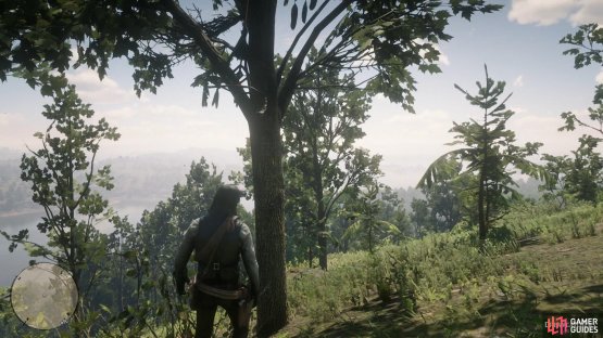 you&rsquo;ll find this tree along the path.