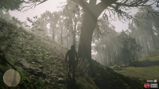 the tree can be found on the west side of the path.