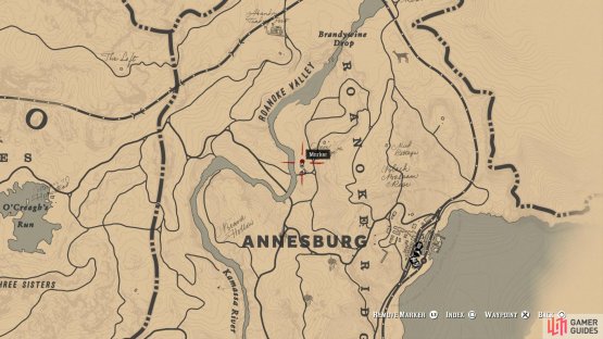 Head along the main path north of &ldquo;Annesburg&rdquo; on the map