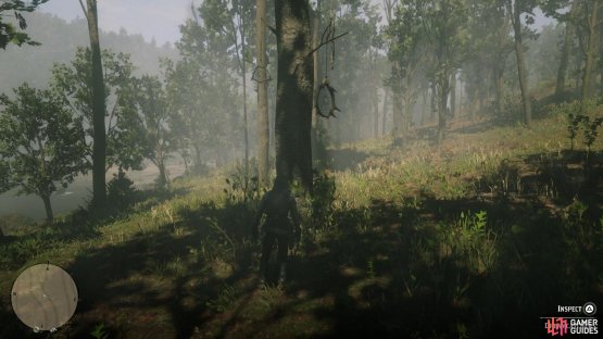 you&rsquo;ll find another tree on the west side of the path.