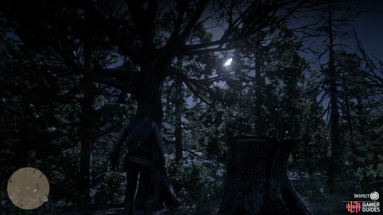 check out the woods to the east to find this Dreamcatcher.
