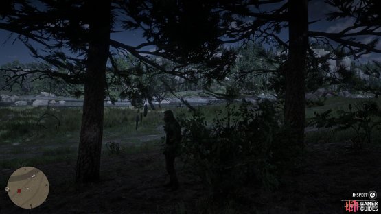 search along the river to find the next Dreamcatcher.