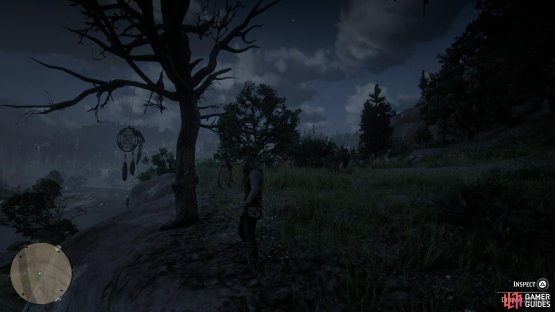the tree overlooks the main path.