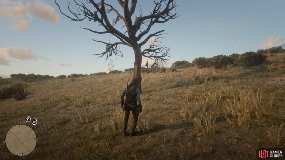 you&rsquo;ll find a lone tree here with the Dreamcatcher.