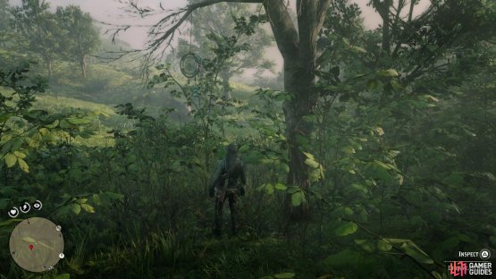 there&rsquo;s a group of trees just north of here containing the Dreamacatcher.