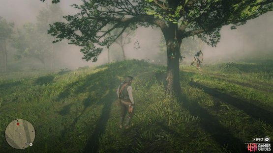 there&rsquo;s a tree along the path containing the Dreamcatcher.