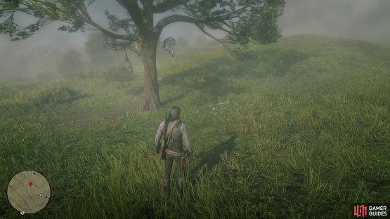 you&rsquo;ll find a lone tree to the west of the farm containing the Dreamcatcher.