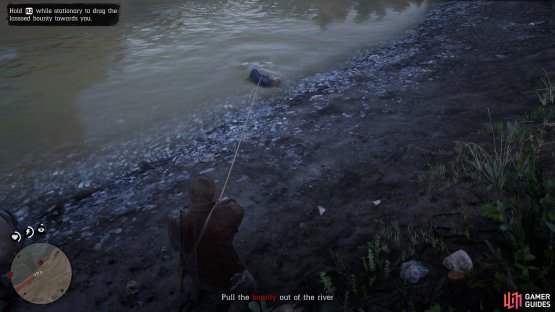 pull him in from the river bank to hogtie him.