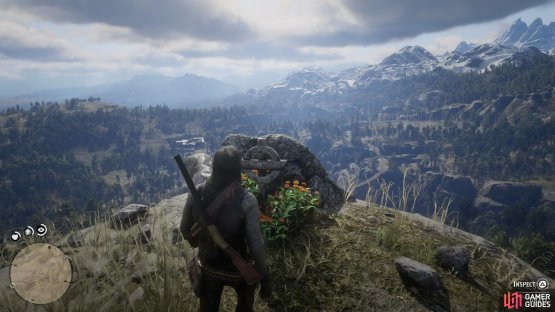 search the cliff above it to find the grave.