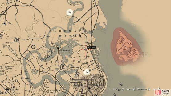 Head north of Saint Denis to the swamp