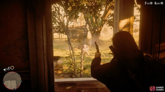 the O&rsquo;Driscolls that approach the window are easy pickings.