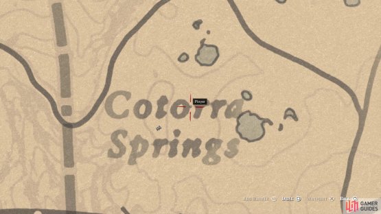 You can find the next clue to the right of the second O in Cotorra