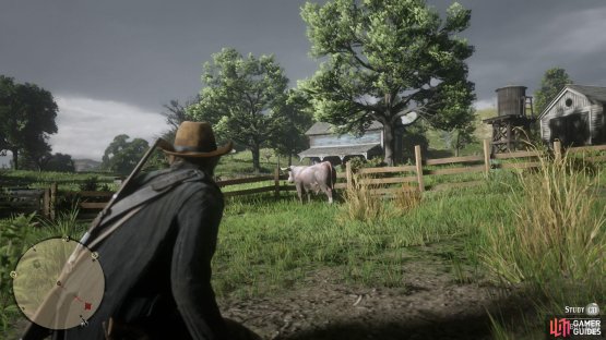 You can find Hereford Bulls on ranches.