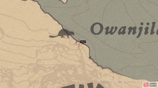 The location of the carving on the map