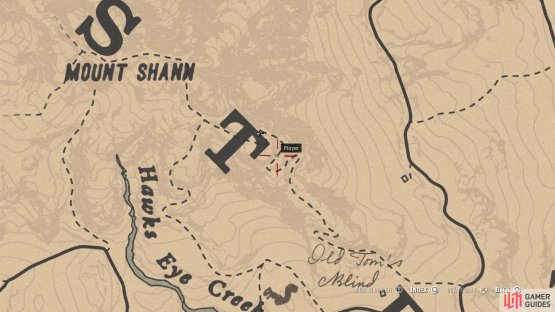 The location of the carving on the map