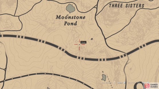 The location of the carving on the map