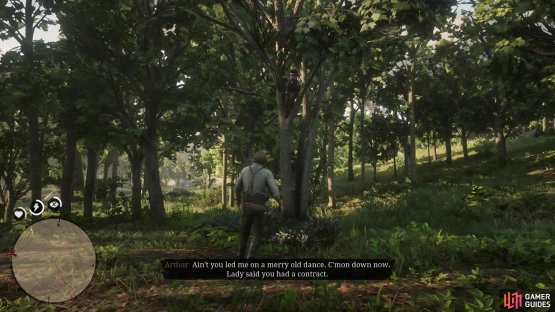In the clearing, you will find Magnifico up in a tree