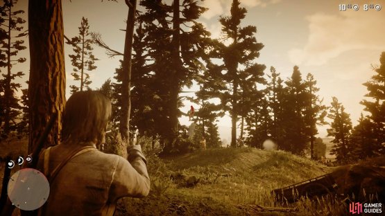 You&rsquo;ll find the first Skinner in the tree to the left of the fallen tree