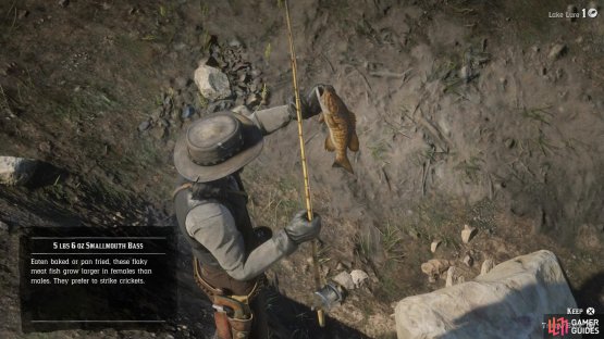 keep the fish to catch.