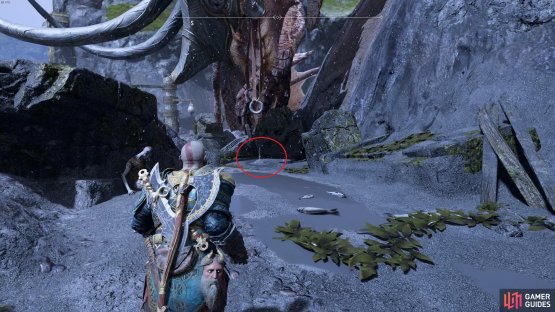 The final Dragon Tear can be found at the top of the Forgotten Caverns.