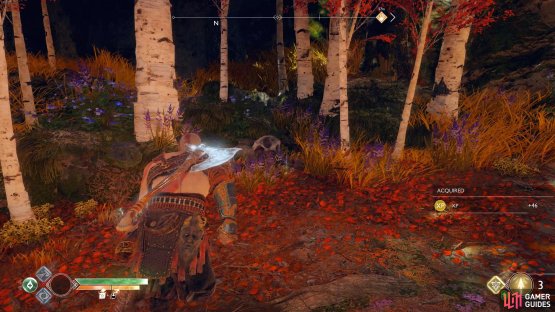 Check the corpse after you climb the chain and defeat the Draugrs for the Artefact.