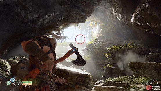 The next Raven is found on the rocks at the top, the light makes this hard to see.