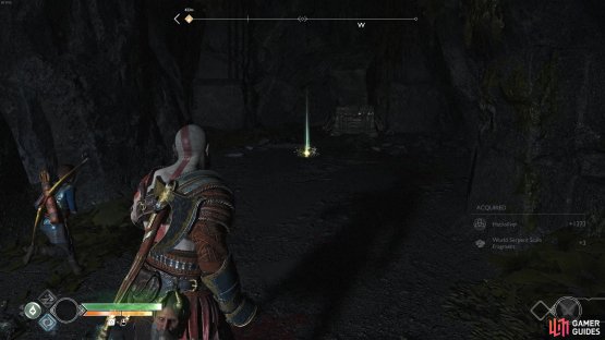 Find the Treasure Map at the back of the cave.