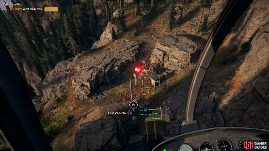 the final Beacon is hidden among the trees.